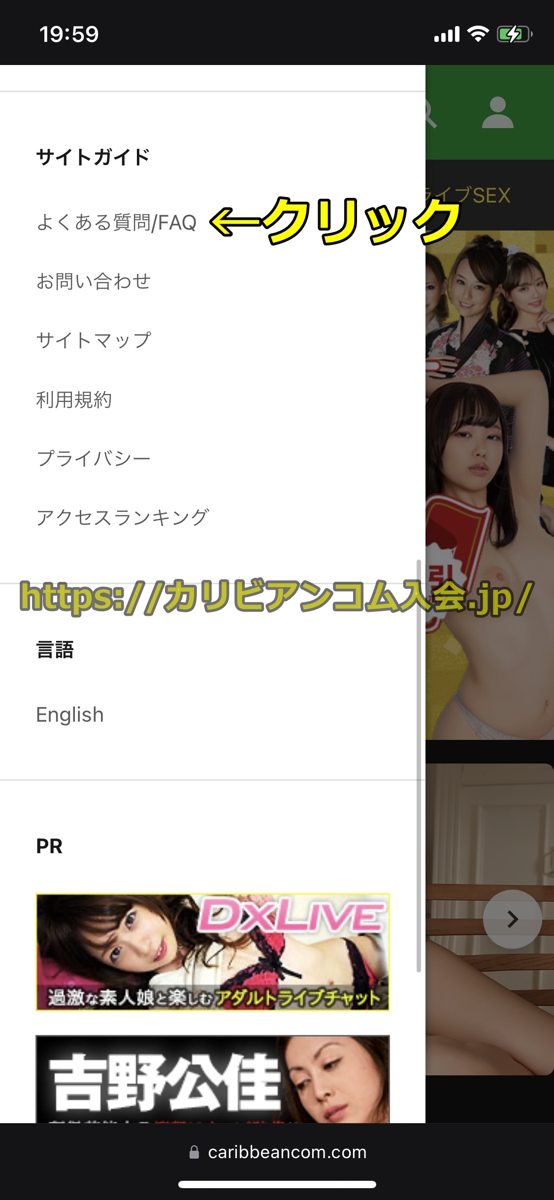 カリビアンコム