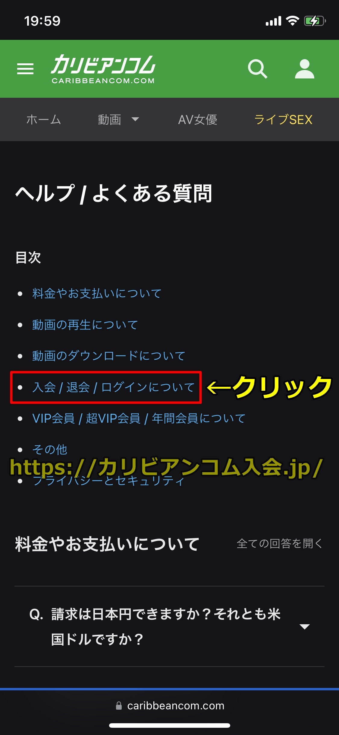カリビアンコム