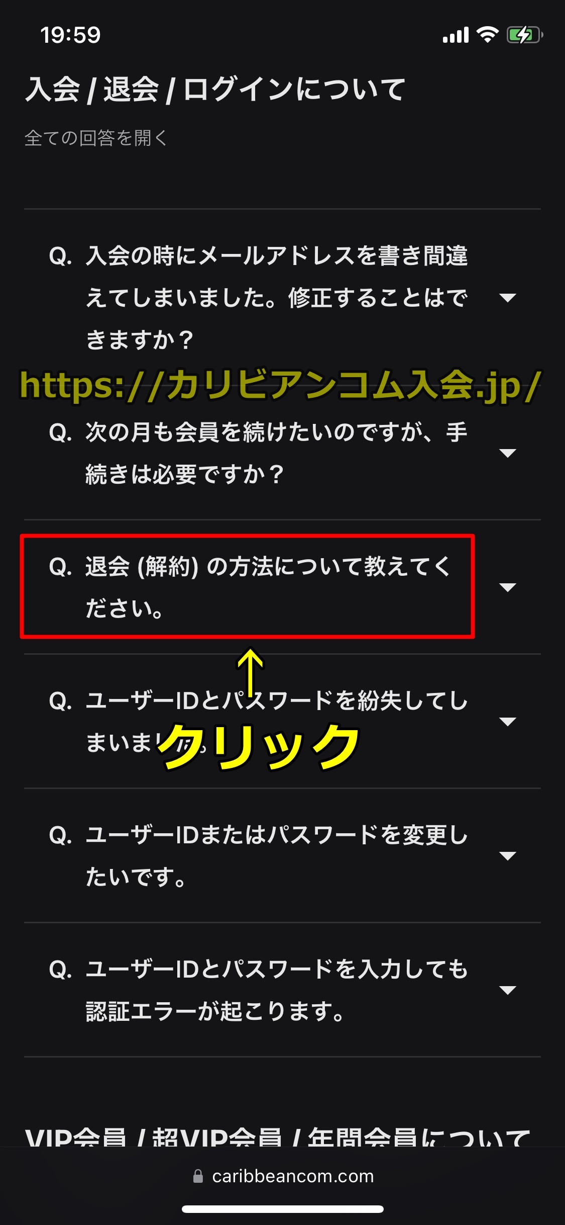 カリビアンコム