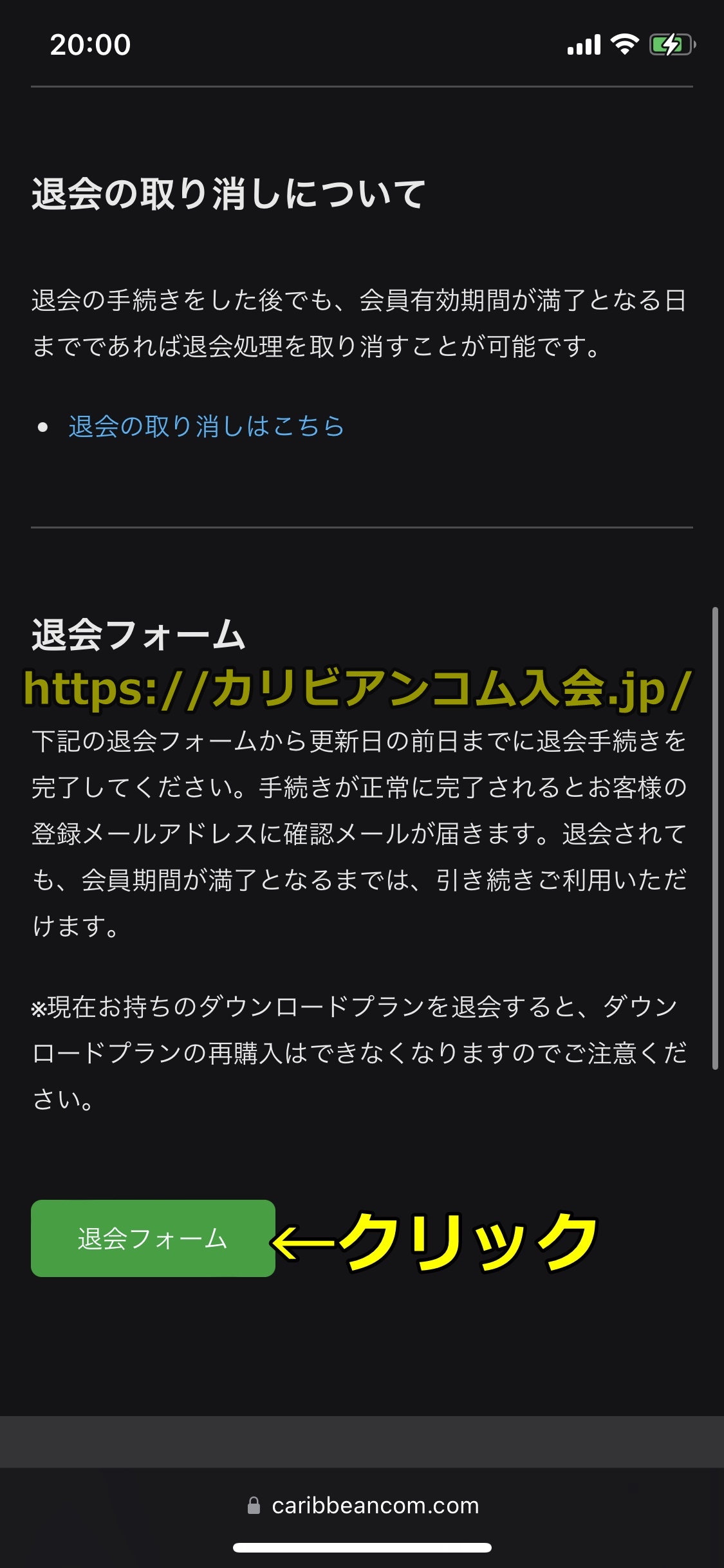 カリビアンコム