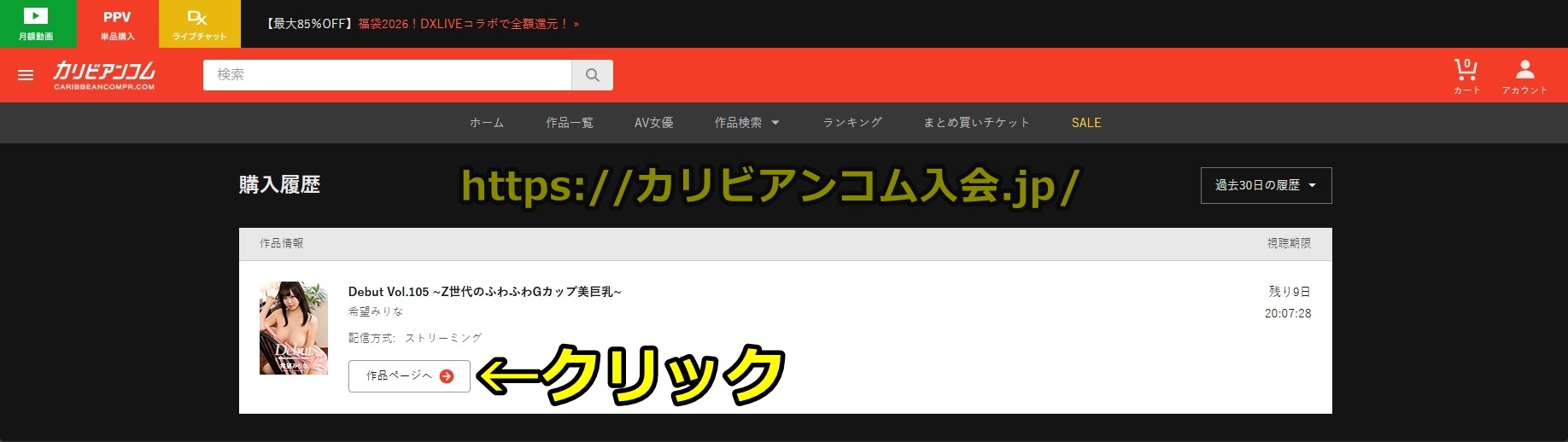 カリビアンコムプレミアム